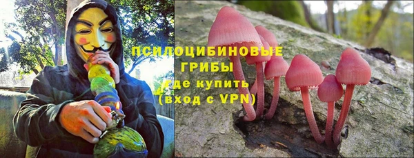 стаф Тобольск