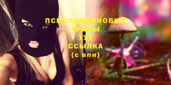 меф Горнозаводск