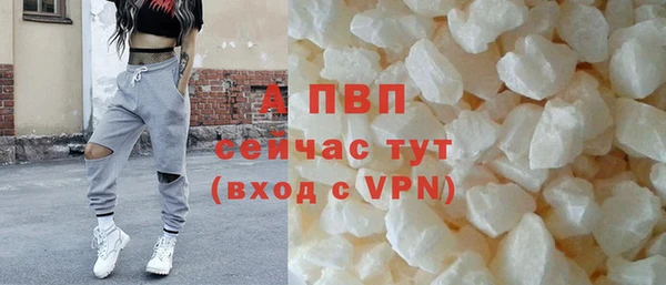 spice Тихвин