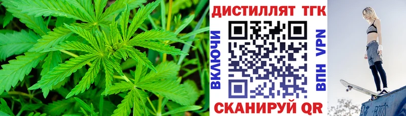 хочу наркоту  Данилов  гидра вход  ТГК гашишное масло 